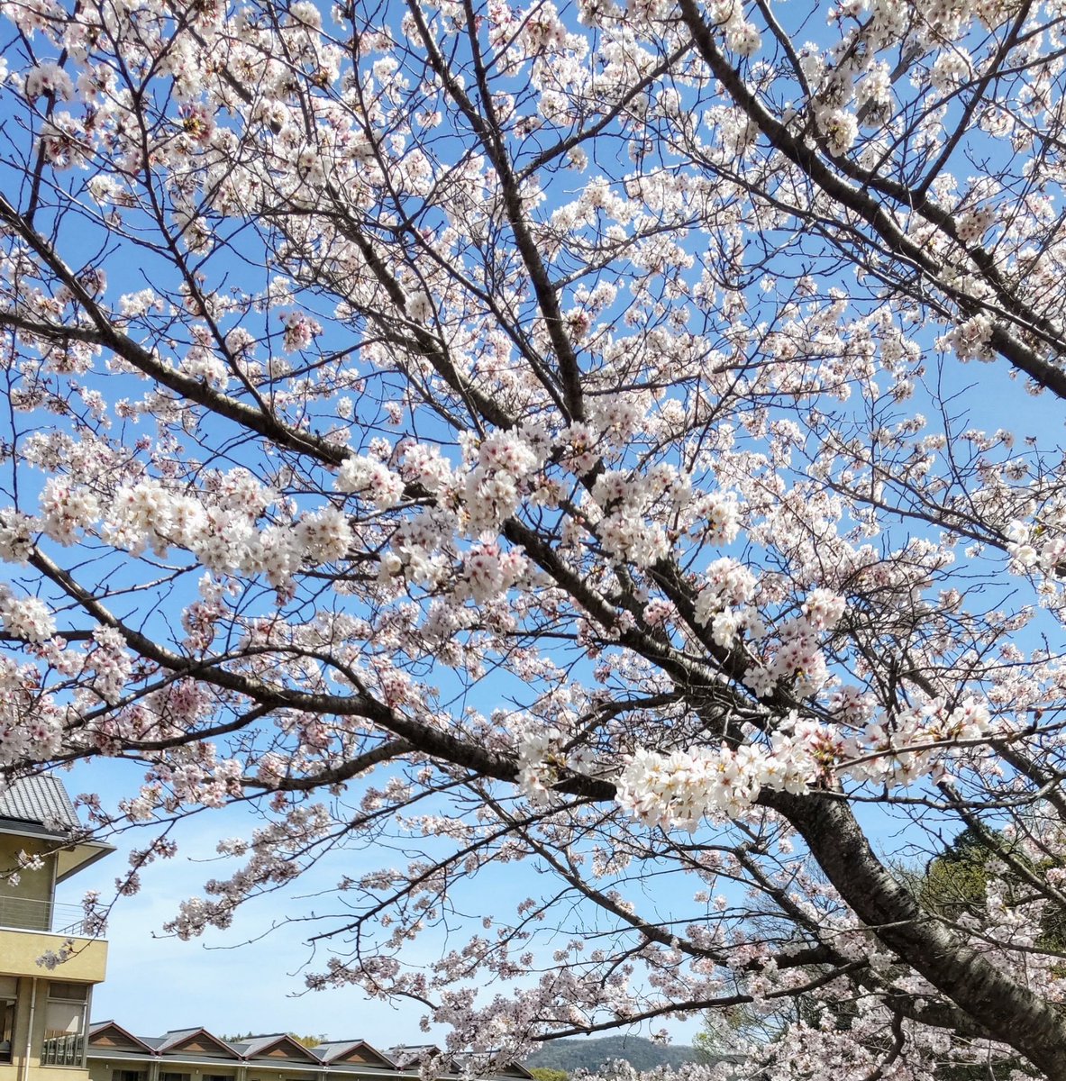 和気鵜飼谷交通公園