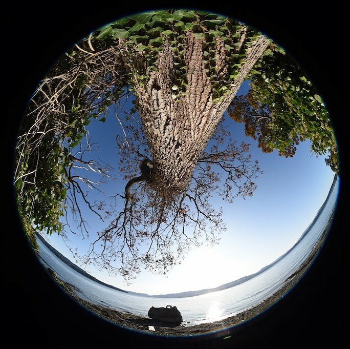 davecaleb's tweet photo. When the horizon is close to the edge of the frame, it will curve. Check out my blog post (link in bio) to find out more about creative ways to capture images with a circular fisheye lens.
#ThePhotographyToolkit #PhotographyArt #Photography #PhotographyWorkshop #LearnPhoto… https://t.co/ENLFa3KYTd