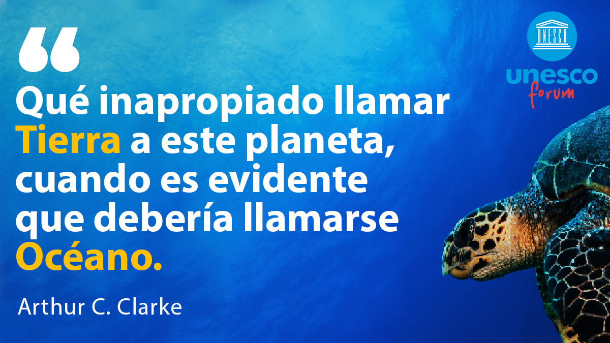 ONU_es's tweet photo. Los océanos cubren el 70% de la superficie de la 🌎
Albergan el 80% de la vida 🐟
Generan el 50% del oxígeno que respiramos 🌬️

Pero están en peligro por culpa de las actividades humanas. 

La @UNESCO_es llama a que #SalvemosNuestrosOcéanos. https://t.co/Hsw7NiRcy6 https://t.co/G6K2DRb7LR