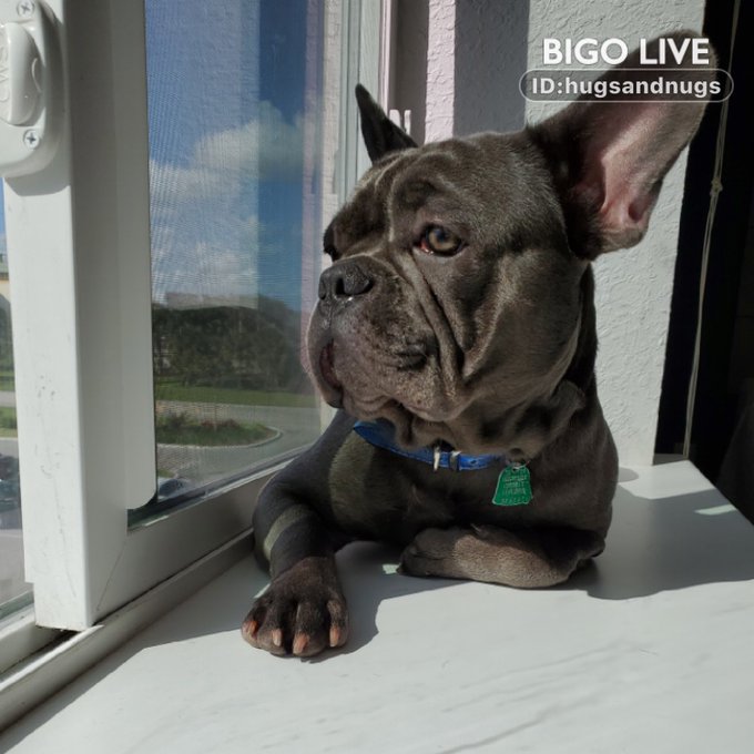Come and see LA'TIESHA💨💯💅?'s LIVE in #BIGOLIVE:     https://t.co/nF6SpOnhEE https://t.co/6GKQKLd7OA https://t<a href="/tag/bigolive"class="tags">#BIGOLIVE</a>