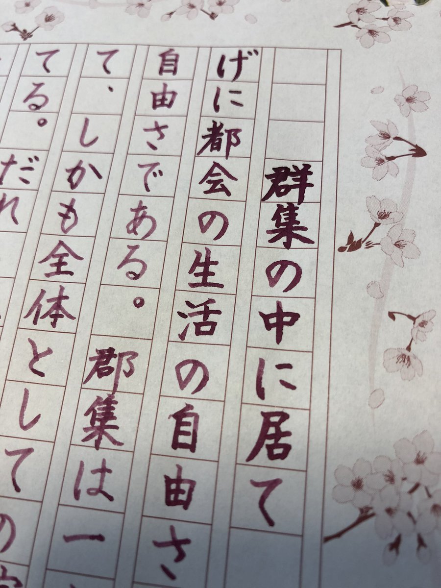 carolcamino's tweet photo. お題をありがとうございます😊
またしても冒頭で荒ぶっております。こうなるとわかっていたので書き始める前に少し他の紙に書いてインク消費しておいたんだけどな💦
#からっぽペンカートリッジ式
#PLATINUM #LAVENDERBLACK
#飾り原稿用紙 #櫻花眺
#悠々書写 https://t.co/4ntqW6CbMn
