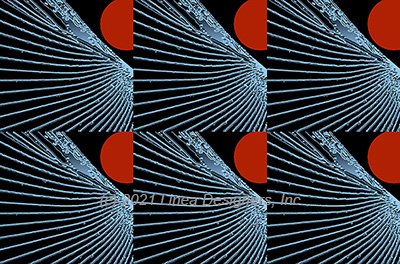 DesignersLinea's tweet image. Golden Design Collection for Interiors #10   lineadesigners.com