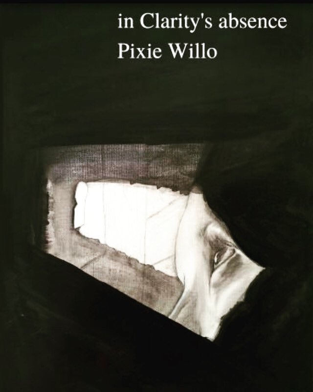 PixieWillo's tweet photo. @KiddWrites This is my new poetry collection https://t.co/hqjILK0y3T https://t.co/YSQMCPD6Pe
