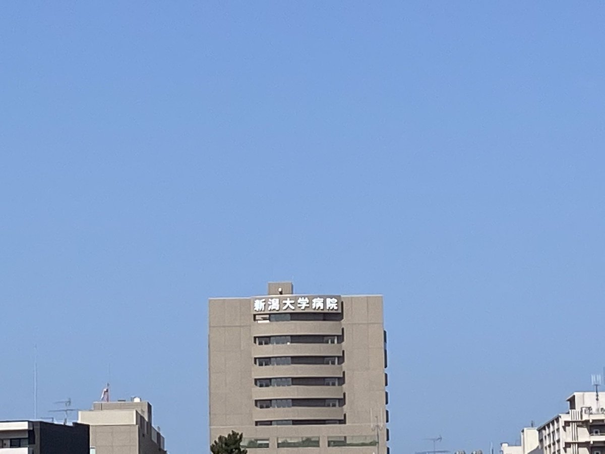 新潟大学医歯学総合病院 Twitter Search Twitter