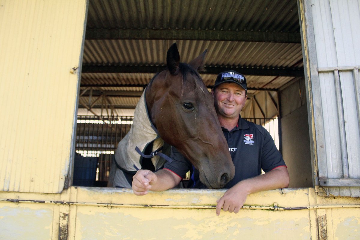 joshuacallinan's tweet photo. Cessnock trainer Clayton Harmey has six runners in the Inter City Pace final at Maitland tomorrow night. I'm Quick As Fire, Major Bob and Johnson Step in the stables on race eve @NcleHarness @HRNSW_Harness @newcastleherald https://t.co/gi5zZG1OFL