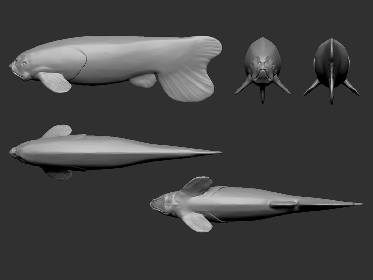 RaulRamosArt's tweet photo. Moving from the rough concepts and thumbnails I start sculpting the creatures and plants in #zbrush. The models are posed and arranged in the scene.
#creaturedesign #evolutionproject #speculativeevolution #evolutionanimation #digitalpainting #illustration https://t.co/xTqw8GfOzQ