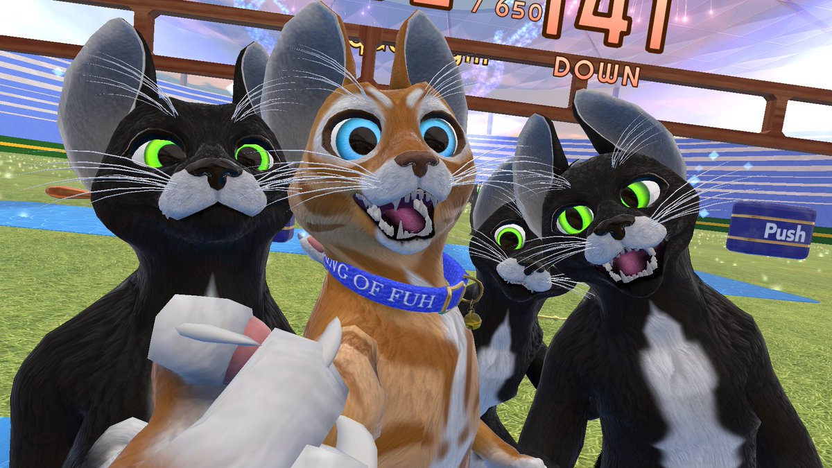 PeterJCasaey's tweet photo. I am no longer the shiba king.  I AM KITTY!! MEOW MEOW MEOW!!!  good job at squats with a CAT themed playlist to squat too!  MEOW MEOW!!
#AprilFoolsDay https://t.co/FB43puawaL