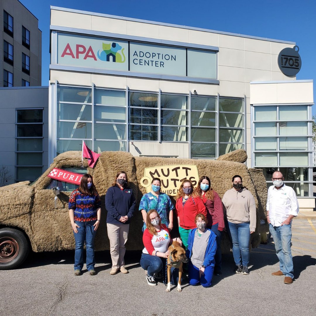 Apa Adoption Center On Twitter The Purina And Stlcitysc City Pet Patrol Swag Squad Stopped By The Apa Today In This Awesome 84 Sheepdog Van What A Cool Way To Get Around