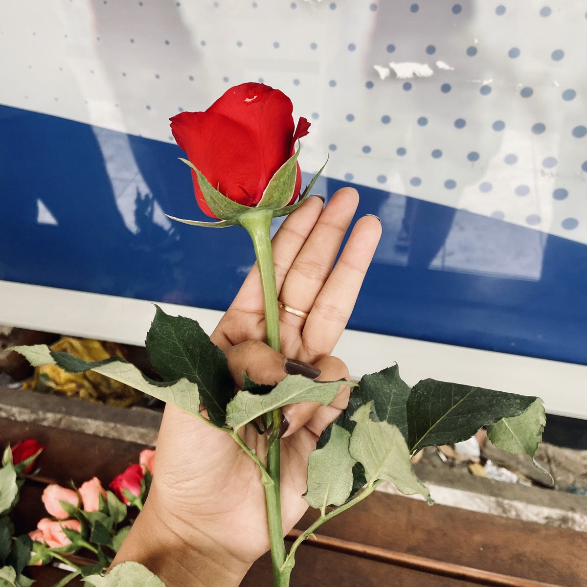 wyinehmoo's tweet photo. #FlowerStrikeMyanmar #WhatsHappeninglnMyanmar https://t.co/G6iufQnyKy
