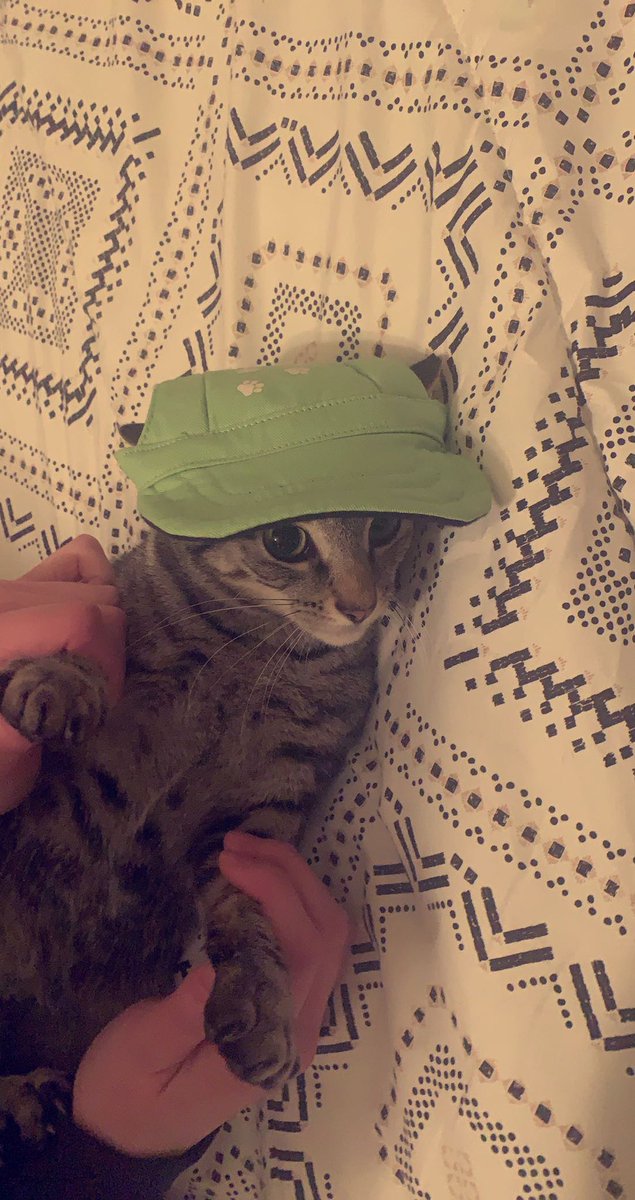 NellyThots's tweet photo. Bitches be like “fit check” and “dripping in swag” and then dress like this https://t.co/aM0dGtv5fC