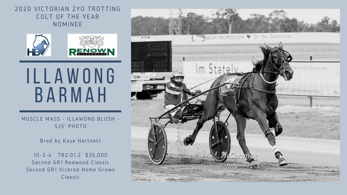 2020 <a href="/FlyIRT/">IRT</a> Victorian Breeder Awards

There are four nominees in the 2020 Renown 2YO Trotting Colt of the Year category - take a look here at nominee, ILLAWONG BARMAH:

<a href="/TheTrotsComAu/">The Trots</a> 
<a href="/NeveleRStud/">Nevele R Stud</a>