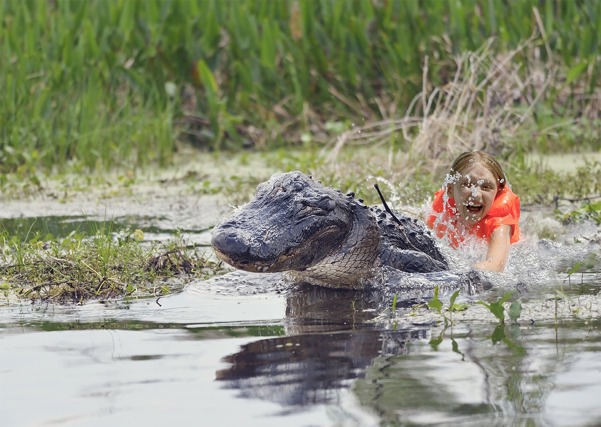 thingsiwander's tweet photo. @VisitWinona had the best #tourism #AprilFoolsDay campaign ever - announcing a Swimming With Gators Experience in Minnesota, complete with swag. #onlyinmn https://t.co/8KmAYzi2aO https://t.co/DGYWoAFupk