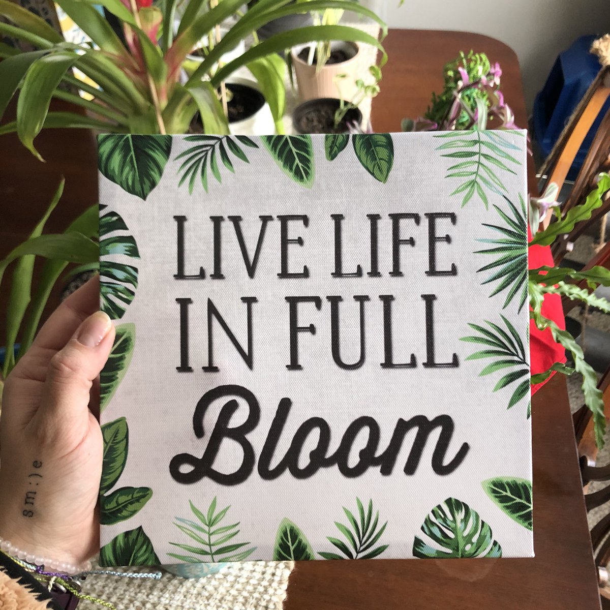 One year on Twitter! #Twitterversary