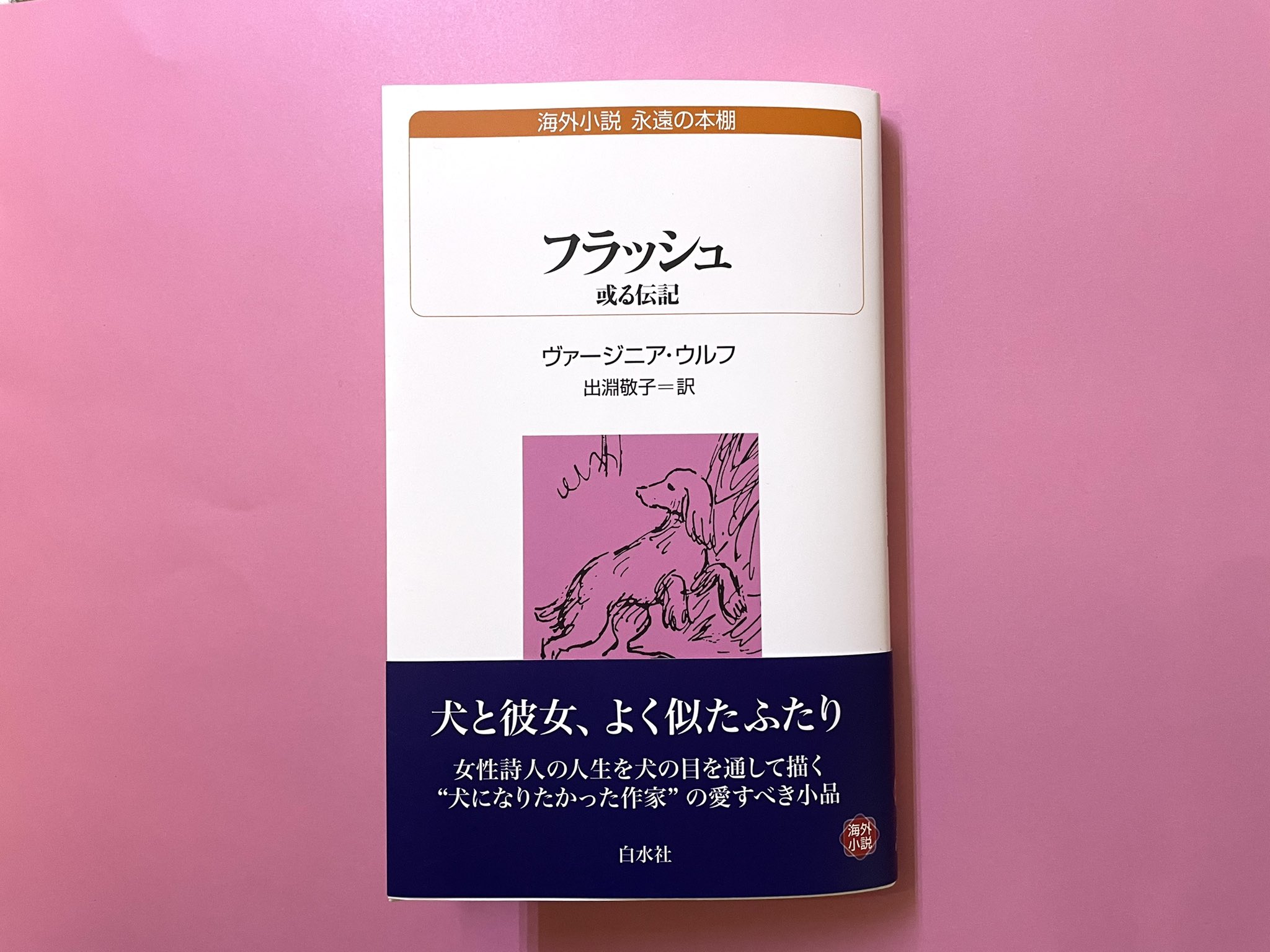 ブックスルーエ かわいいウルフ フェア開催中です フラッシュ 或る伝記 ヴァージニア ウルフ著 出淵敬子訳 白水社 主人の恋愛 父親の抑圧 犬泥棒 イタリアへの駆け落ち 犬の目を通して描かれる女性詩人の伝記 というなんとも かわいい