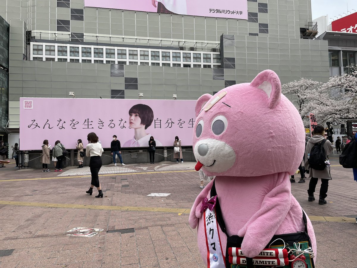 渋クマ ᴥ 公式 新オンラインイベント 渋谷で爆弾つけられちゃったクマ 今渋谷で人気沸騰中の幸せを運ぶピンクのクマ 渋クマ ある日突然何者かに爆弾をつけられちゃってさぁ大変 渋クマを 渋谷を 救えるのは あなただ ご予約はこちら 当日17 30