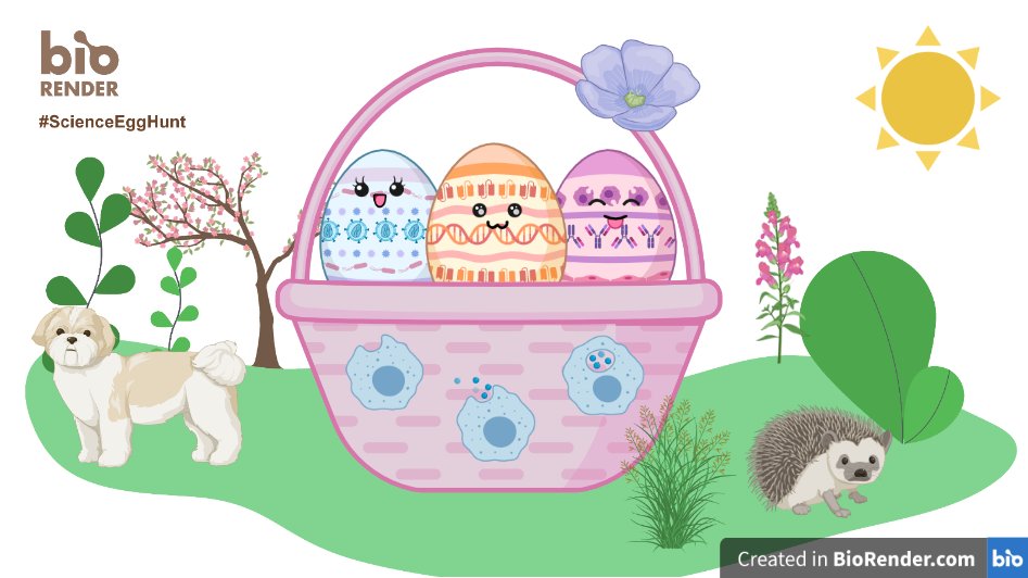 ally_l35's tweet photo. Still sad I only found out about BioRender in my last semester of university... Would've helped so much in all my past presentations ❤️ But this was fun!
@BioRender #ScienceEggHunt https://t.co/mH2aVOH3aF