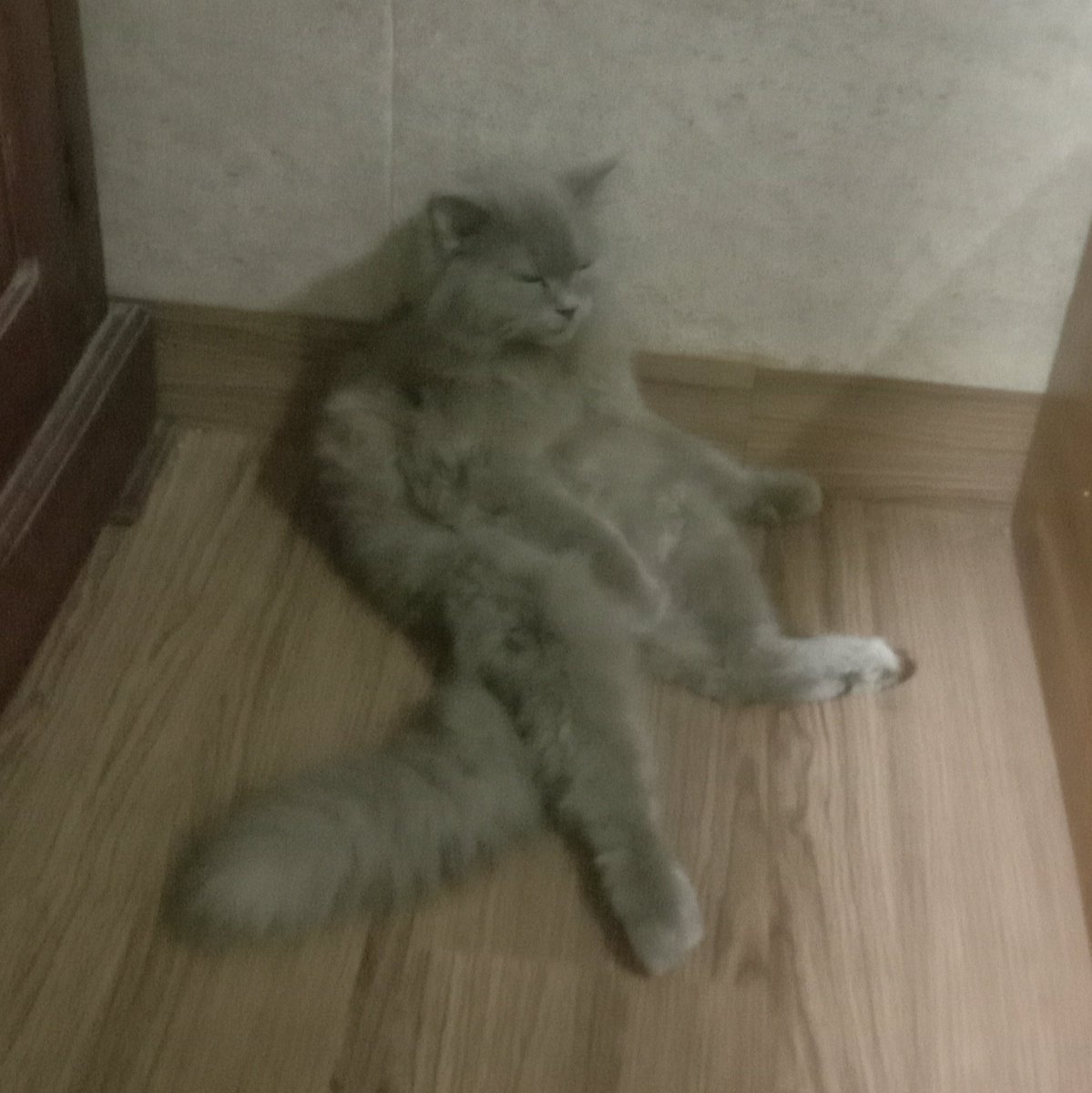 ceriberimeow's tweet photo. Lama tidak update hihi sibuk merenung https://t.co/ET3B65CGQh