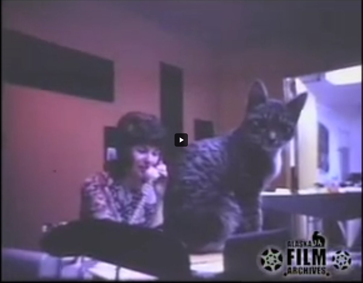 AKDigArchives's tweet photo. For the 19th of #Archive30, #ArchiveMystery we bring you RB the Cat and encourage you to watch this news report about the mystery of RB. 

Video: https://t.co/TMcTTXWtvJ https://t.co/qOb0J5Bec6