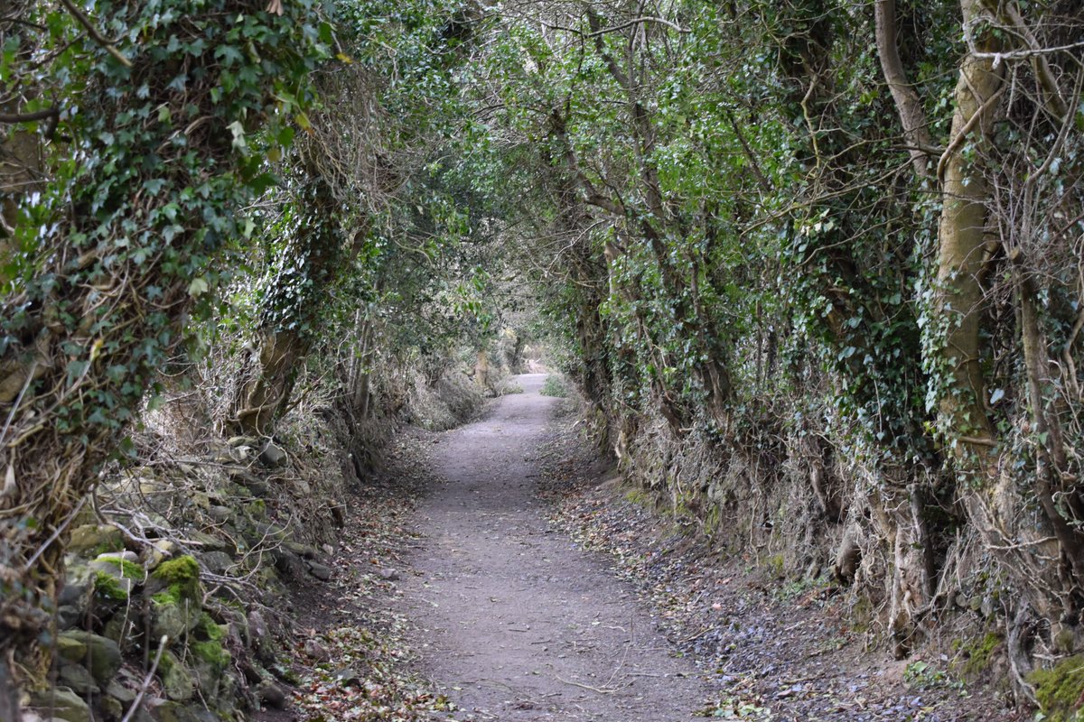 MythicPath's tweet image. So what is my Twitter handle “@mythicpath” about, and what is a Mythic Pathfinder? I am a traveler and explorer seeking insight, guidance, and wisdom from myth, literature, and stories of all kinds...