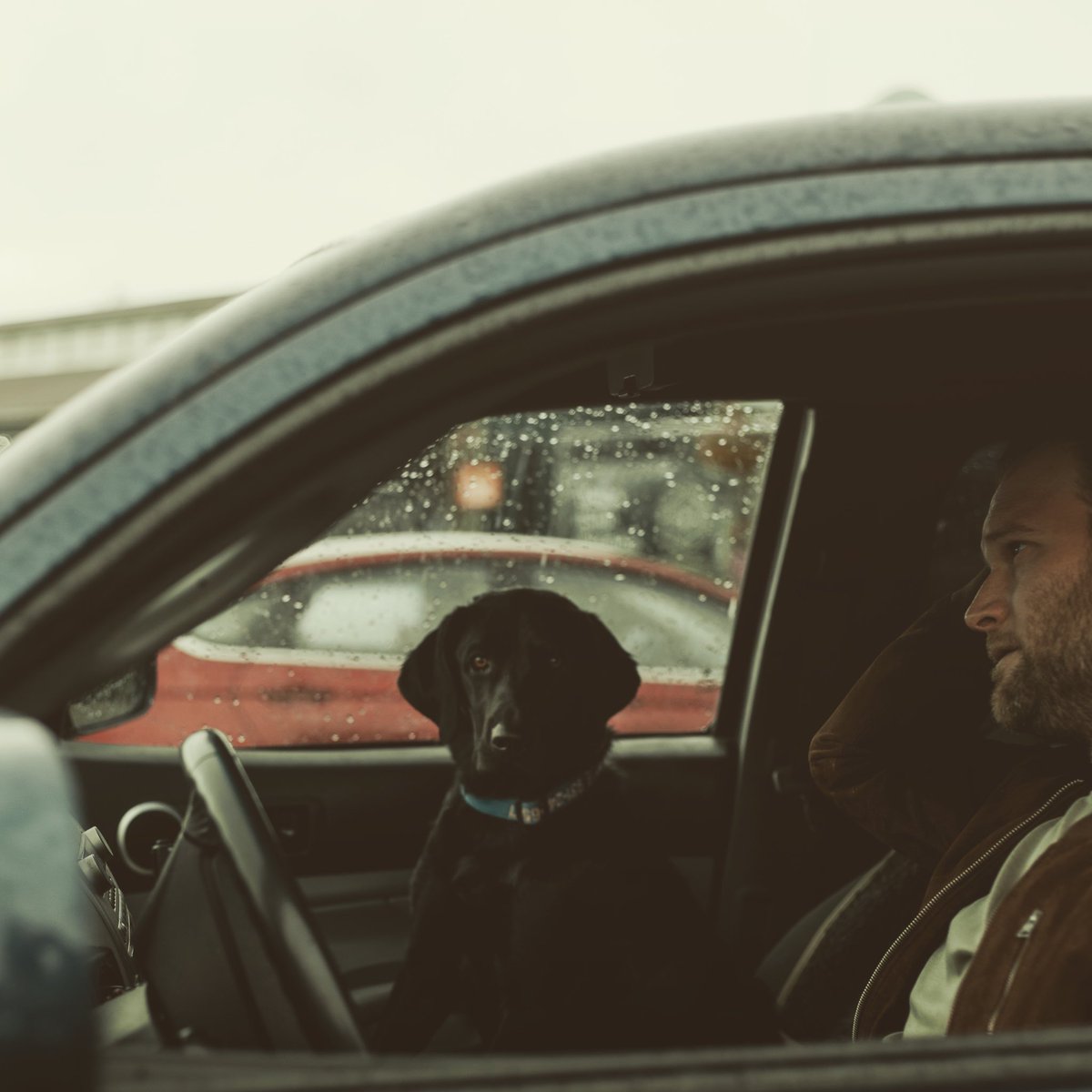 New tune out at midnight. Best enjoyed with the windows rolled down, cruisin' with some of your best buds.