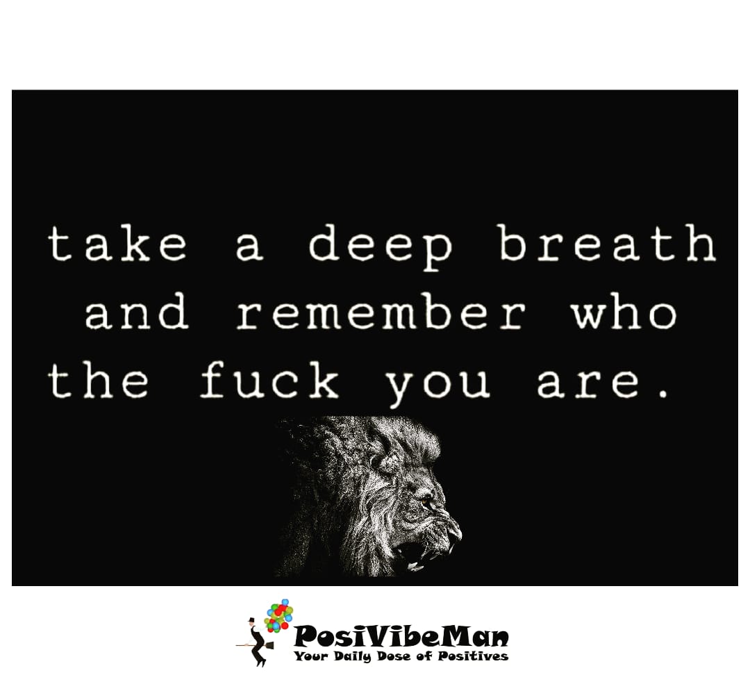 posivibeman's tweet photo. The world would have you believe that you are not significant, out of touch, and out of style. But remember who the fuck you are, You must have the courage to stand up, take a big breath and let out the biggest lions roar acoss your kingdom for all to see. https://t.co/N5j8qhgZAI