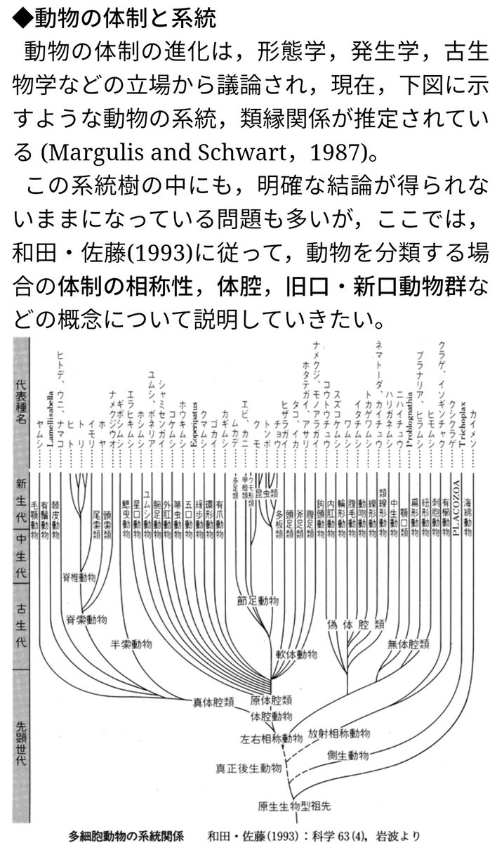 Aya 生物分類から次のゆる狩りキャラを勝手に予測 上からありそうな順 1刺胞動物のクラゲ 2軟骨魚類のサメかエイ 3脊索 動物のホヤ 4哺乳類のイルカ 5節足動物のエビ 蟹が既出だからないかも ナマコがいるのでこれ以上ウニとかヒトデとか 棘皮動物は来