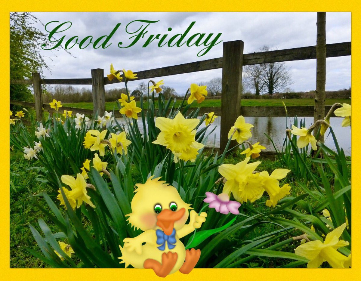 Sarahflowers50's tweet photo. Good morning and happy Good Friday. Have a great day whatever your doing 🐣 #FlowersOnFriday #GoodFriday #dancingdaffodils https://t.co/p1bUqm2xeX