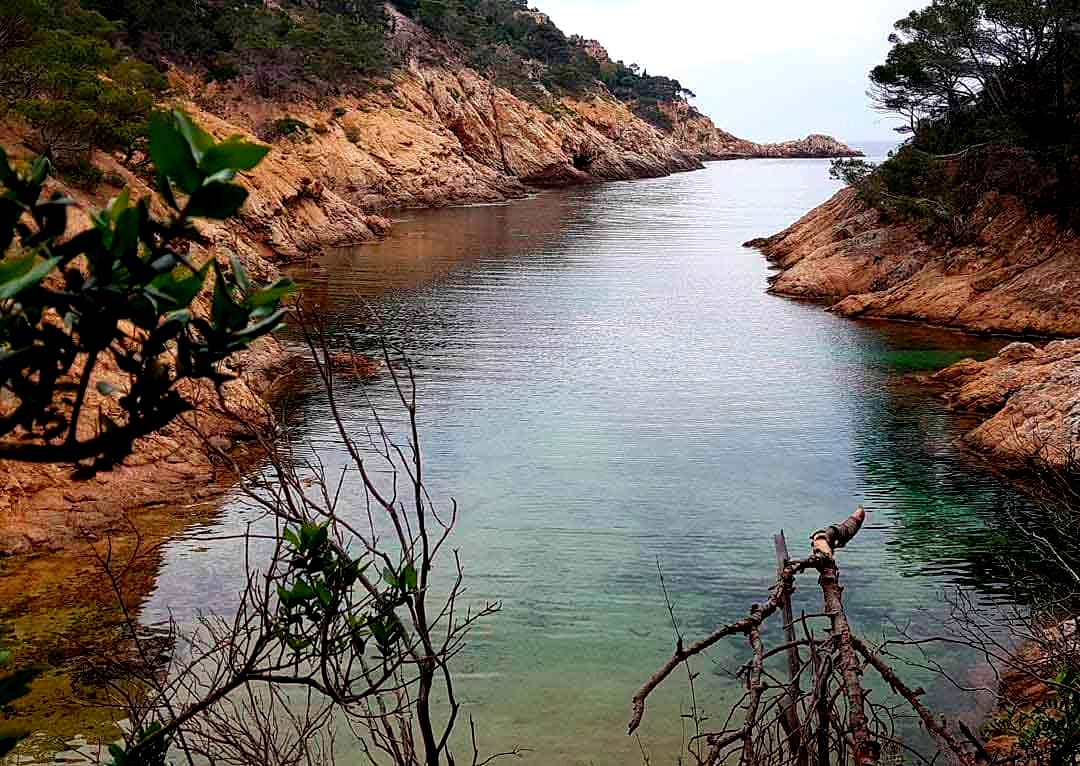 Descubrelacosta's tweet photo. TOSSA DE MAR
#CalaPola situada debajo de un camping que lleva el mismo https://t.co/TrmPC9DWDB arena gruesa y dorada y está rodeada por vegetación en ambos https://t.co/76nxHu4OSO un rincón precioso de la #costabrava.¿Habéis estado?Si queréis mas info https://t.co/Y8YJt7LGX1 https://t.co/BfdlOgn5Zx