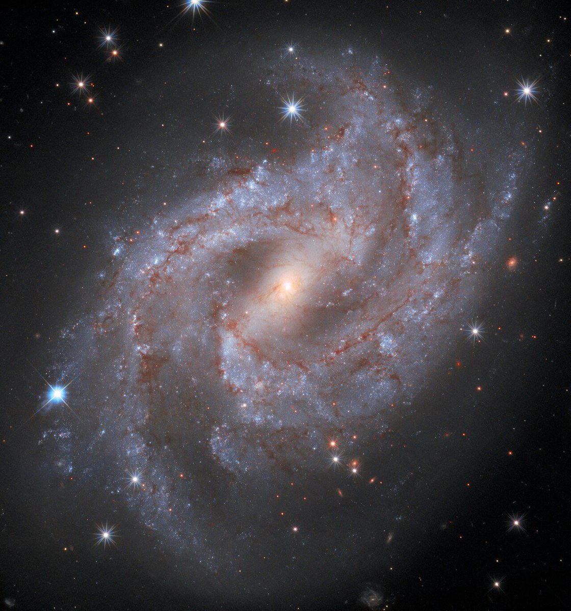 HUBBLE_space's tweet photo. In the 2021 ESA/Hubble Calendar the month of April features the captivating galaxy NGC 2525, showcasing a brilliant supernova, visible as a bright blue point in the left of the image. 

Free .pdf of the 2021 calendar here: https://t.co/STKF2rYKG2 https://t.co/QgMfVkAkN1