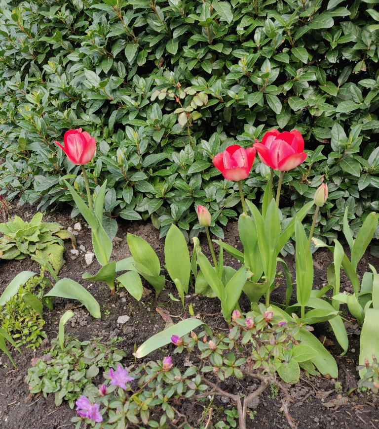 Happy Good Friday! May everyone have a warm and lovely day! Spring is in the air!
