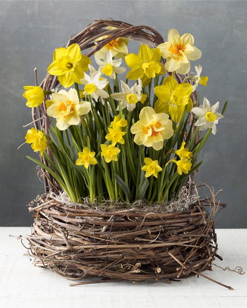 WS_Gallery's tweet photo. Happy Easter! https://t.co/bzUJdANd8N https://t.co/iASDtC1xKX