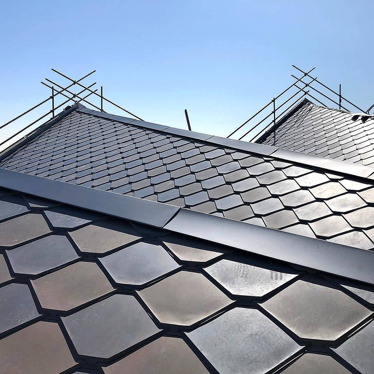 Plaice Design tweet media