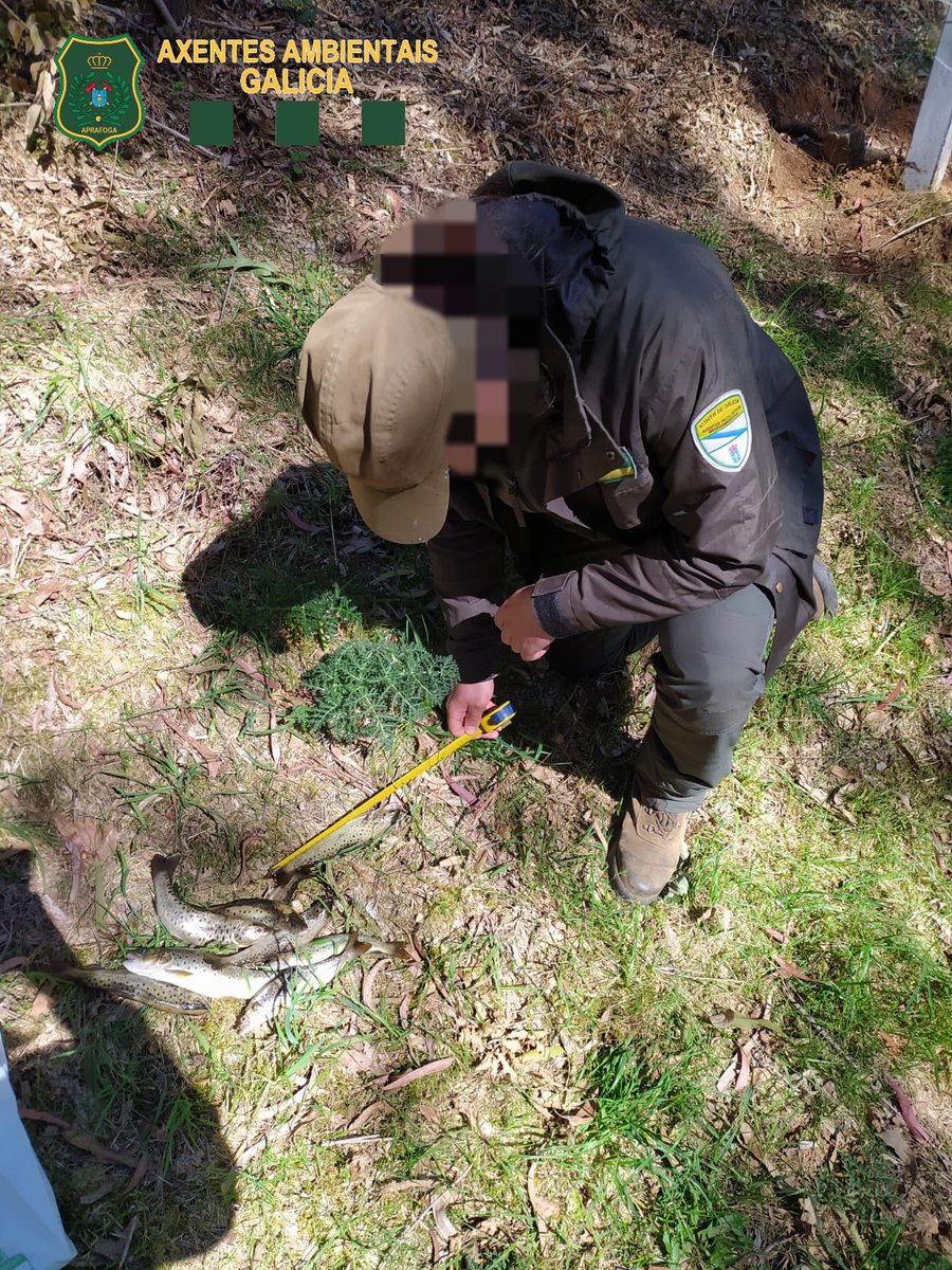 APRAFOGA's tweet photo. Os comisos feitos polos 👮🏻‍♀️👮🏻‍♂��#AxentesAmbientais @Xunta son
entregados en comedores sociais, residencias de maiores,... Deste xeito as infraccións coma excesos de cupo, incumprimento de tallas legais,... e o traballo dos axentes cumplen unha
función social
#DefendemosaSociedade https://t.co/KJncjKPjfX