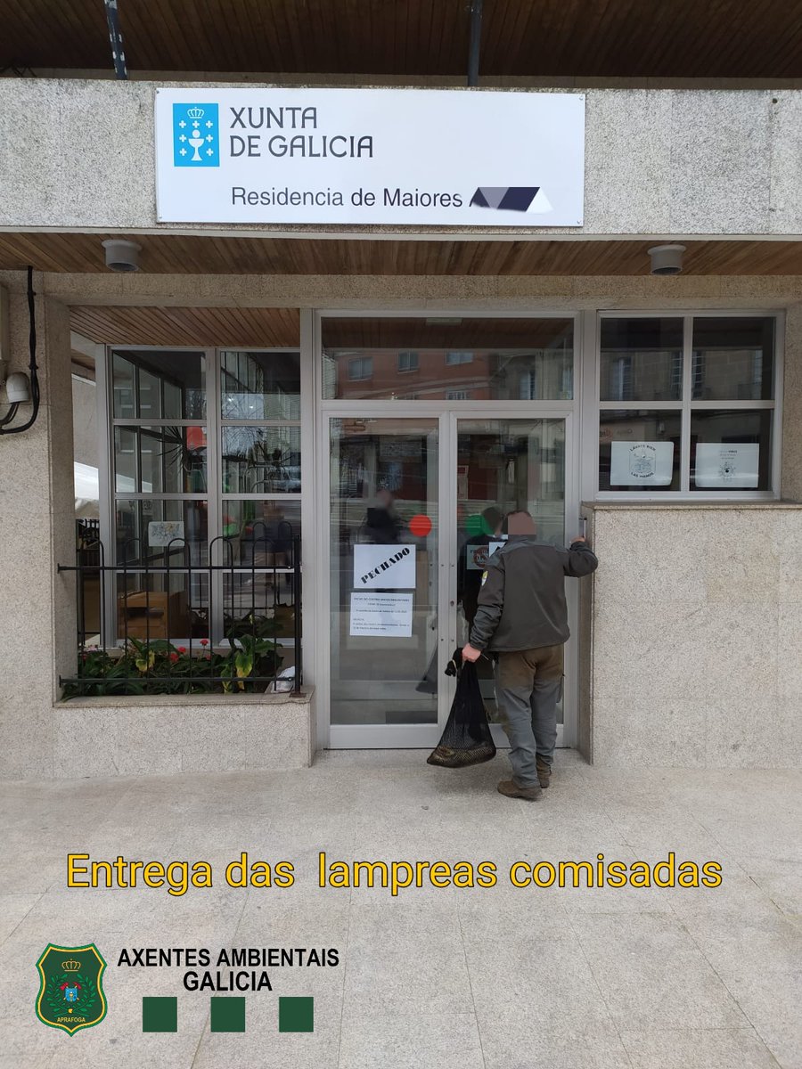 APRAFOGA's tweet photo. Os comisos feitos polos 👮🏻‍♀️👮🏻‍♂��#AxentesAmbientais @Xunta son
entregados en comedores sociais, residencias de maiores,... Deste xeito as infraccións coma excesos de cupo, incumprimento de tallas legais,... e o traballo dos axentes cumplen unha
función social
#DefendemosaSociedade https://t.co/KJncjKPjfX