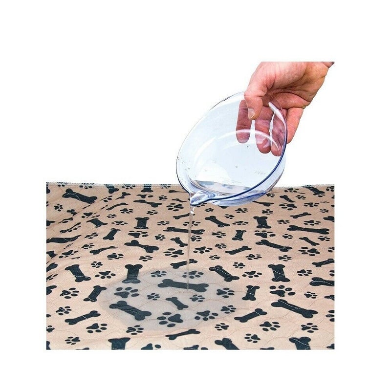 HNfreeexport's tweet photo. feiruiexport #puppypads #puppytrainingpads #petpeepad #adultunderpads #bedpadskid #urinepad #dogurinepad #absorbableunderpad #washableunderpad #reusableunderpads #peepad #petpad
Are you interested in learning about it ？ https://t.co/99aFoIuCMZ
