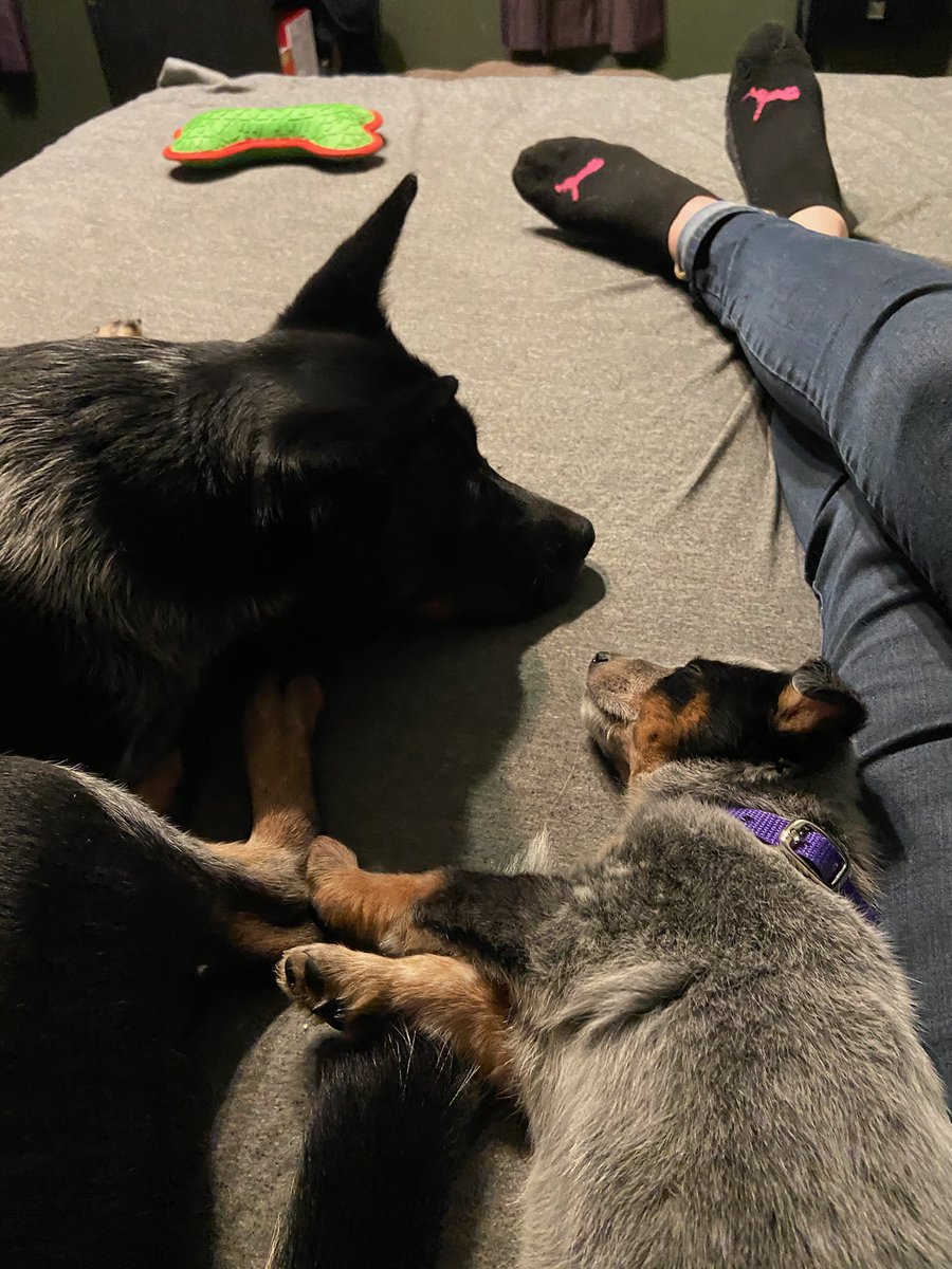 divurzify's tweet image. Streaming Career is over....