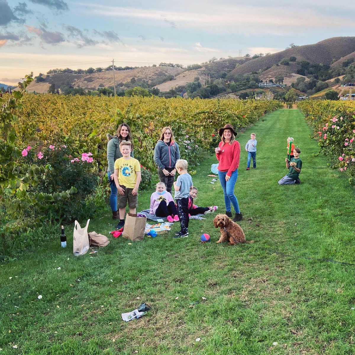 We invite you and your household to picnic with your purchase of refreshing Kirigin wine — bring your own food, soft drinks, lounge chairs, and pop-up shade🍴🍉🥪 

To book your reservation, please email us at folks@kirigincellars.com or call us at (408) 847-8827 from 10am-5pm!🍷