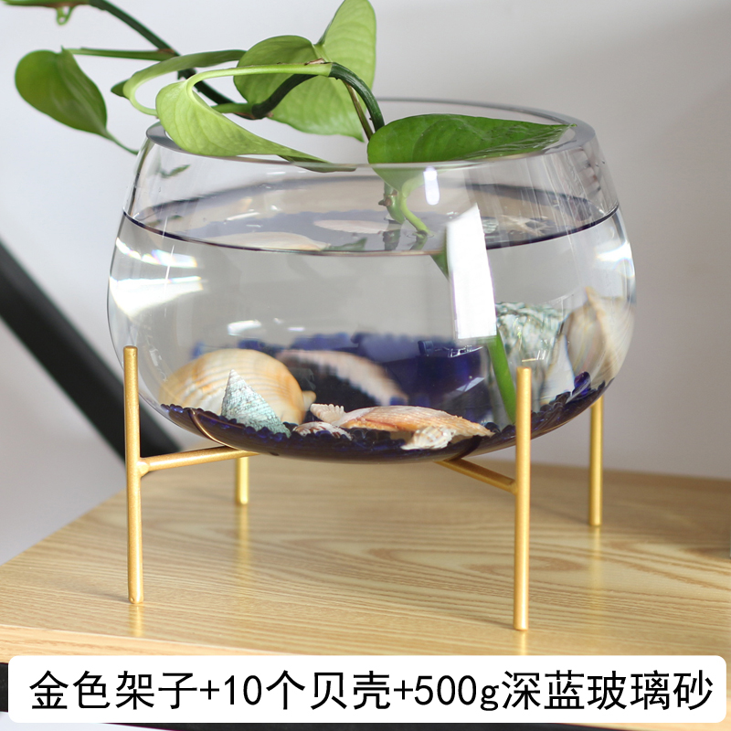 Glass Fish Tank Designs