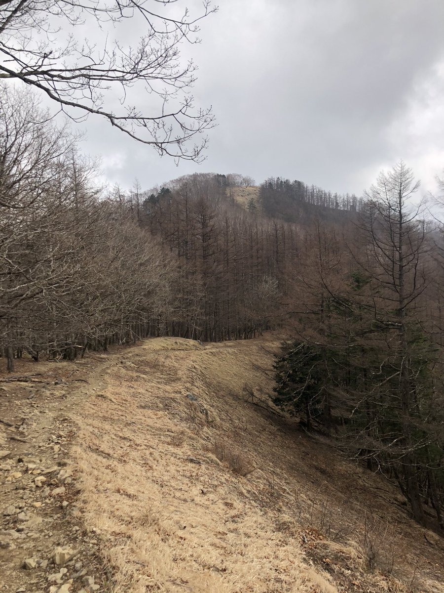 904maler's tweet photo. 雲取山 https://t.co/GZEqZYNDeb