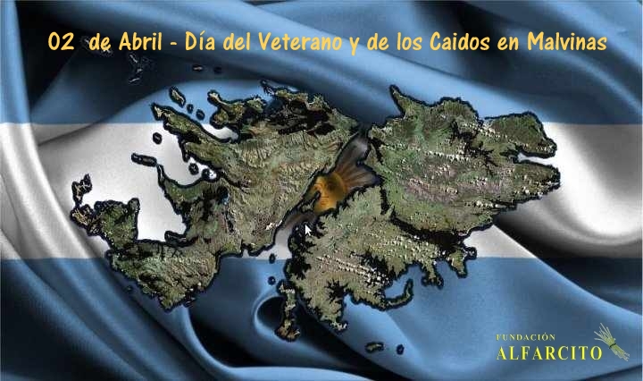 Fundación Alfarcito tweet media