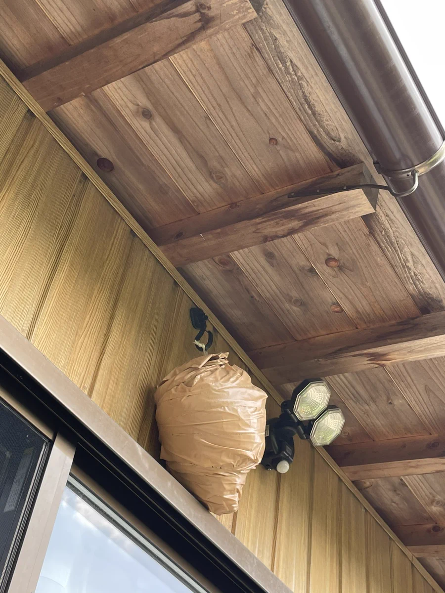 新規の蜂を寄せ付けない方法がこちら！ダミーの蜂の巣を作ることで人にも蜂にも優しいんです！！