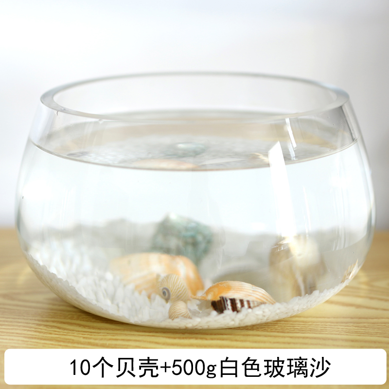 Glass Fish Tank