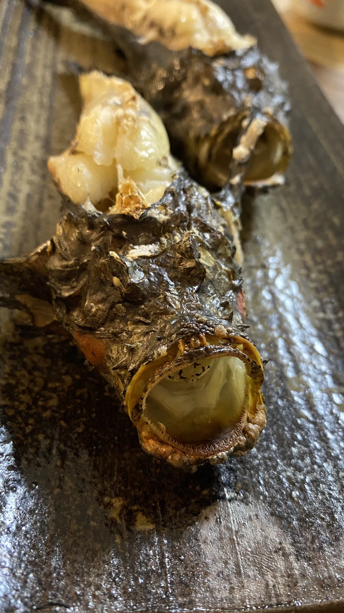 吉池 Rt Tnsy I 吉池でオコゼを購入してみました オコゼといえば唐揚げか 味噌汁なべかなーって思ってましたが シンプルに塩焼きにしてみました 味が上質な白身で コチとかに少し似てますね あと 皮がプルプルでおいしい ただ焼く前に洗わないと