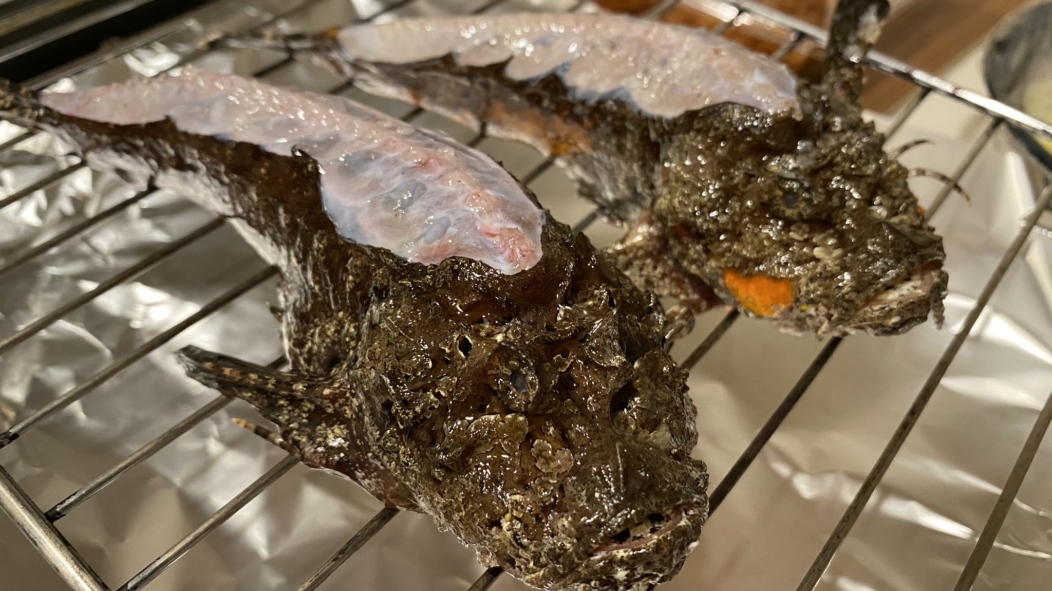 吉池 Rt Tnsy I 吉池でオコゼを購入してみました オコゼといえば唐揚げか 味噌汁なべかなーって思ってましたが シンプルに塩焼きにしてみました 味が上質な白身で コチとかに少し似てますね あと 皮がプルプルでおいしい ただ焼く前に洗わないと