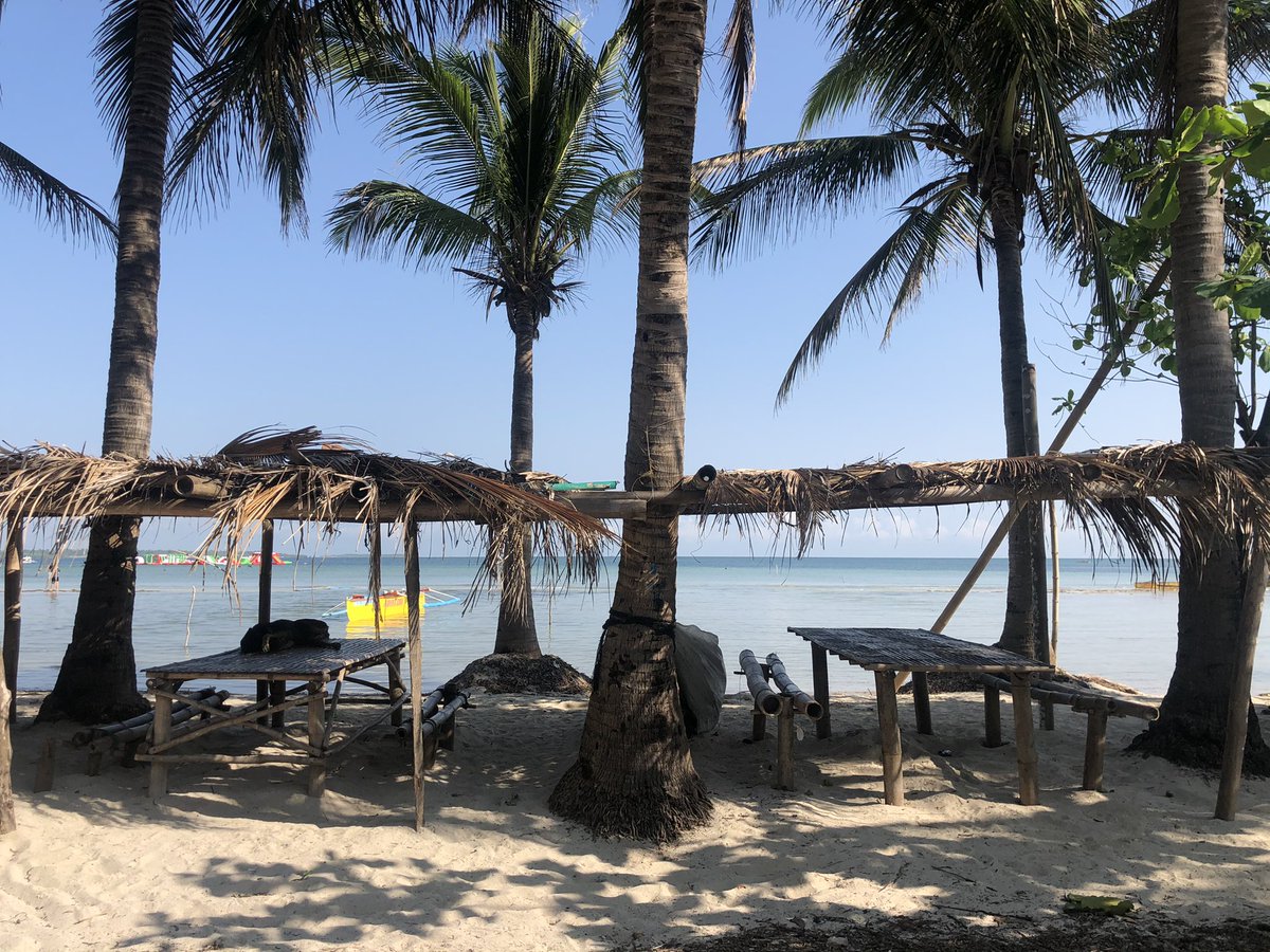 JonjieRunes's tweet photo. i s o l a t i n g and finding peace in the midst of pandemic. #awayfromepicenter #inthenickoftime #balwarte #day05 #healthe 🌏 #freshair #freshfoods #goodlife 🙏🏽 https://t.co/4jOm3jt2vJ