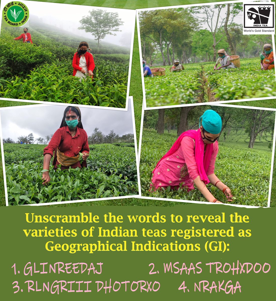 Tea Board India tweet media