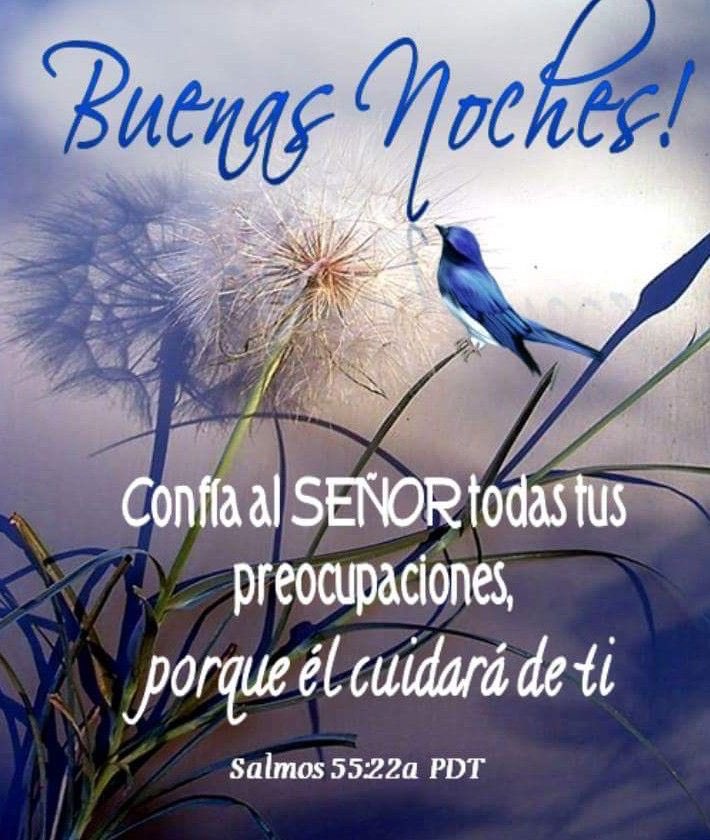 Amigos y seguidores