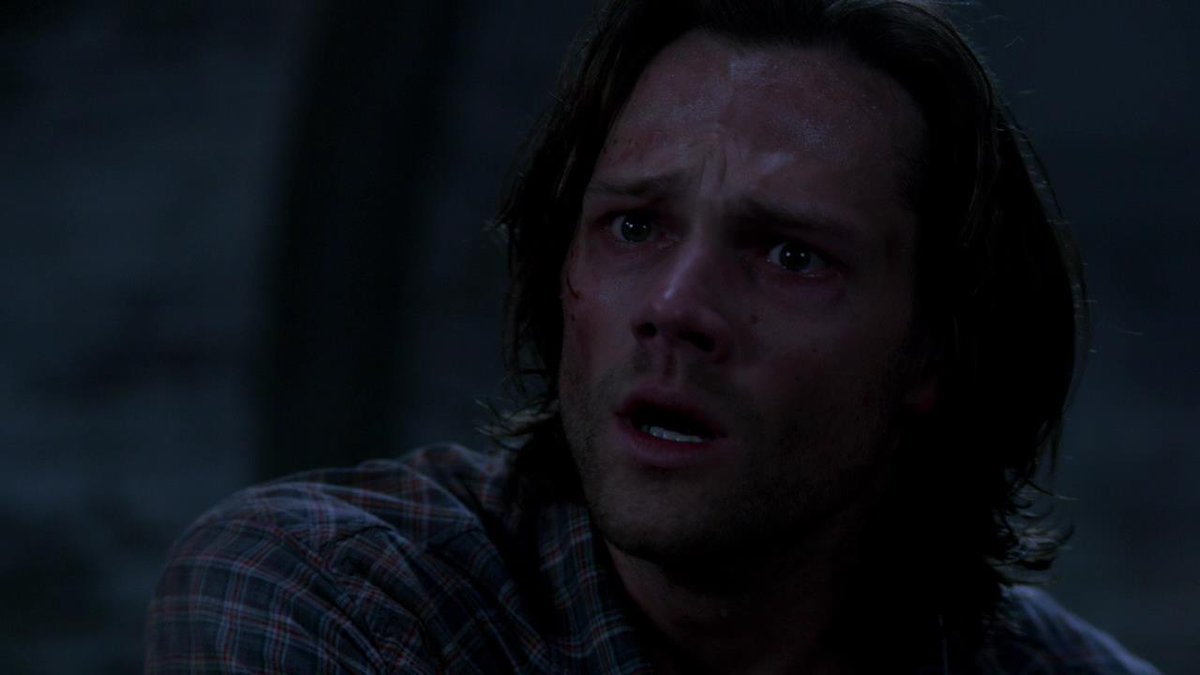 moosechestered's tweet photo. listen I know it's not *that* important, but it's absolutely fucking bonkers to me that anyone would start mental health a fundraising campaign in honor of an spn character and  NOT have that character be Sam?? https://t.co/Mmg7AJqjQP