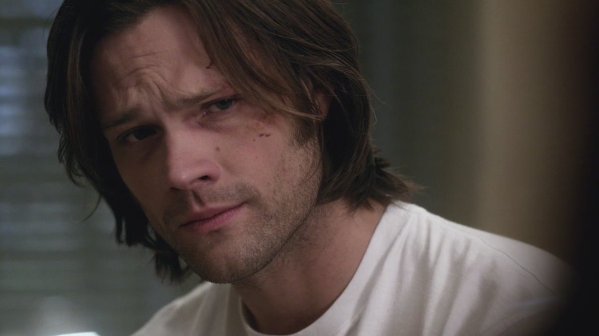 moosechestered's tweet photo. listen I know it's not *that* important, but it's absolutely fucking bonkers to me that anyone would start mental health a fundraising campaign in honor of an spn character and  NOT have that character be Sam?? https://t.co/Mmg7AJqjQP