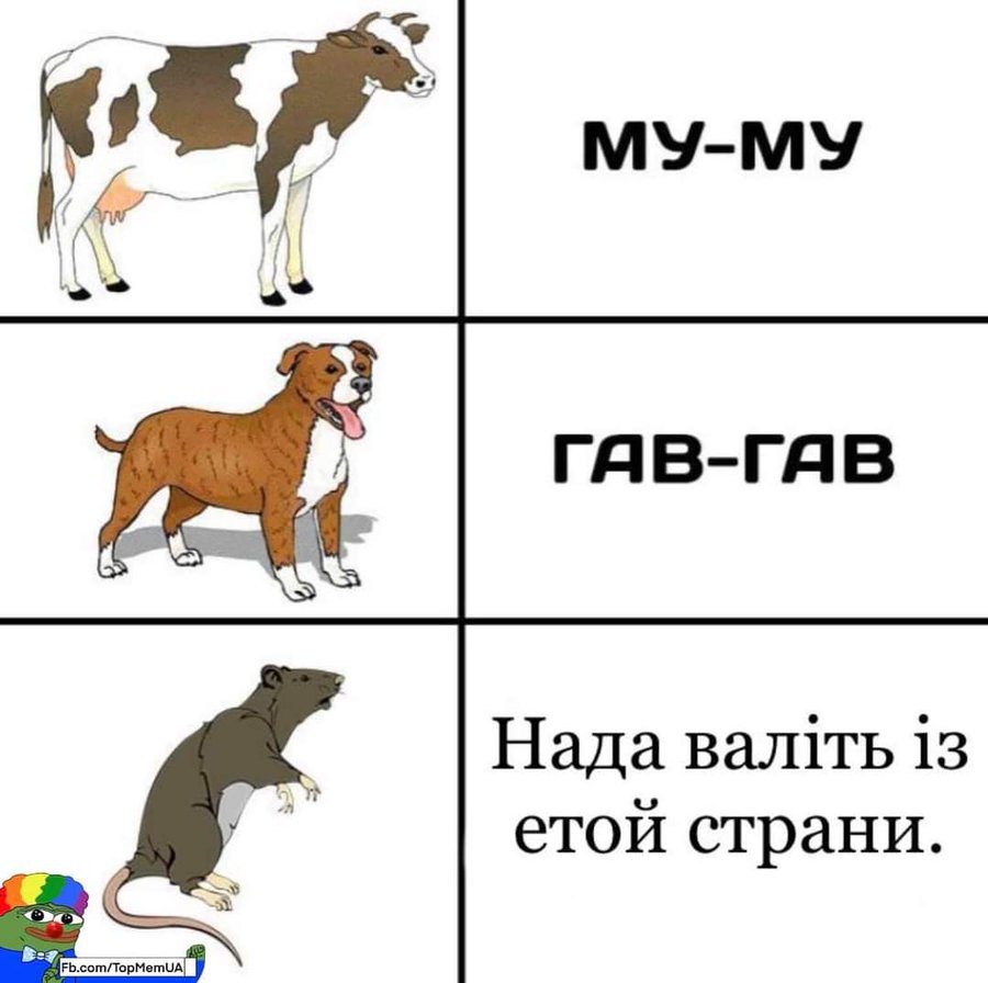 Гав Гав говорит собачка